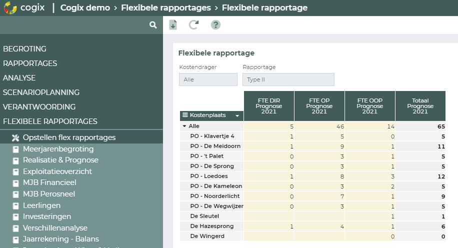 Nieuwe_UI_HC_Flex_rapport8.png